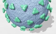 CAE virus