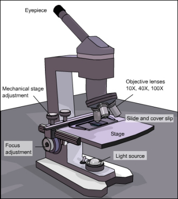 Mechanical stage